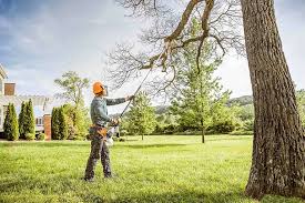 Best Tree Health Inspection  in Waynesboro, PA